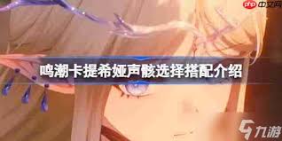 鸣潮卡提希娅声骸选哪个好