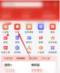 京东如何进行分期付款