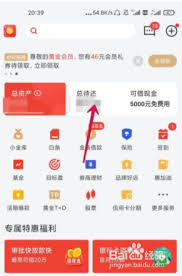 京东白条如何进行一次性还款
