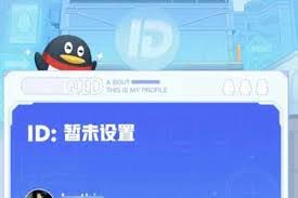 什么是QQID身份卡