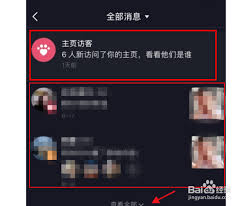 抖音主页访客记录为何看不到