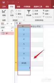 Access如何添加网格线