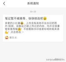催小红书审核多久能提高