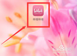 花瓣app如何屏蔽私信