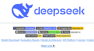 DeepSeek写的论文可以直接用吗