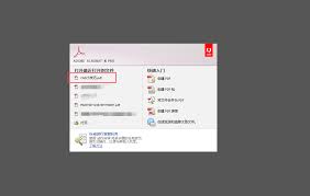 Adobe Reader XI如何设置双面打印