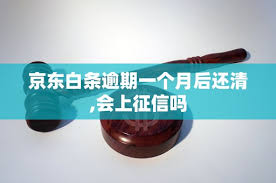 京东白条逾期一天利息是多少