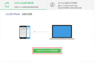 如何恢复已删除的照片和视频