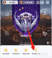 王者营地如何获取王者荣耀体验服资格
