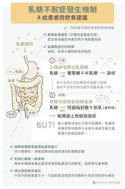 乳糖不耐受是牛奶过敏吗