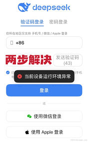 deepseek当前运行环境为何异常