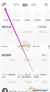 网易云音乐唱不出歌了