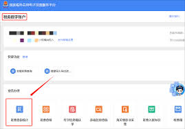 如何在电子税务局查询已开发票