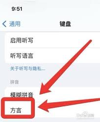 苹果14键盘如何使用方言