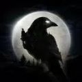 夜鸦NightCrows安卓版