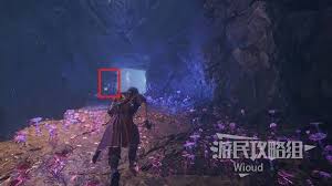光与影33号远征队埃斯基耶的窝怎么探索