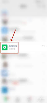 松果出行如何开通免密支付