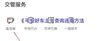 平安好车主如何查违章