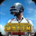 越南服pubg安卓版