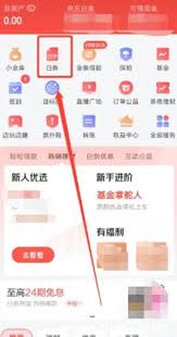京东白条是什么意思