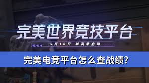 完美电竞平台如何查询战绩