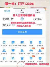 12306宠物托运需要办理哪些手续