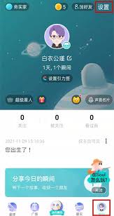 Soul如何关闭匹配