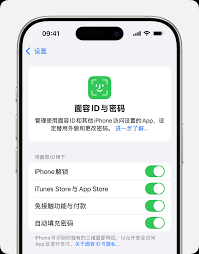 苹果手机打开面容支付却付不了怎么办