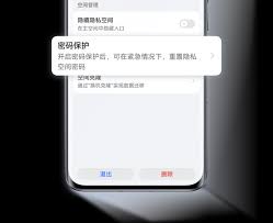 荣耀手机如何打开开发者选项并输入隐私空间密码