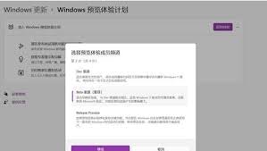 如何将win11计划通道release preview更改为Dev