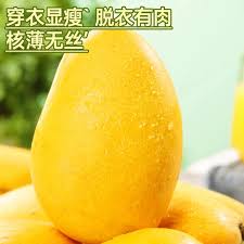 芒果tv会员能几个人同时使用