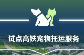 12306如何办理宠物托运