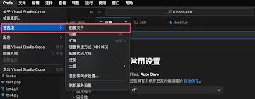 vscode如何设置搜索条件