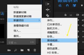 premiere如何调整字幕位置不正