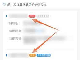 如何查看中国电信本人名下手机号码