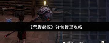 荒野起源背包如何管理