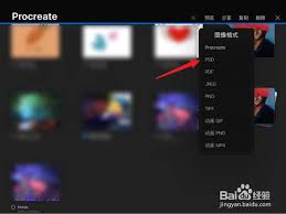 procreate可以导出psd格式吗