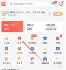 如何注销京东白条