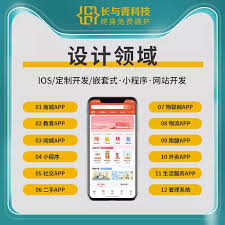 大麦app和小程序哪个抢票快