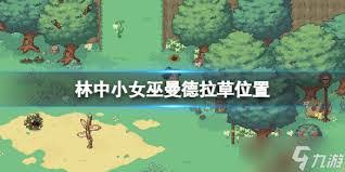 幻想生活 i 如何获取巨大的曼德拉草
