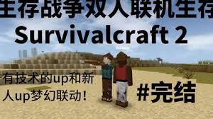 生存战争如何实现两人联机