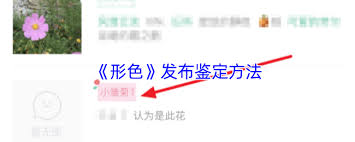 形色app如何发布鉴定