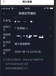 抖音号没流量怎么养号