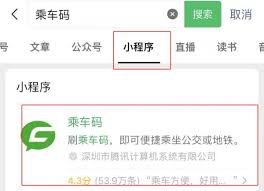 电子乘车码怎么查询