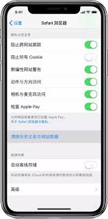 如何在Safari中禁用自动网络检测