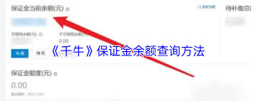 如何查询千牛保证金余额