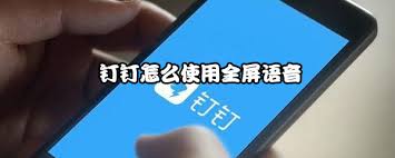 钉钉APP怎么开启全屏语音
