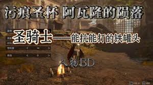 污痕圣杯阿瓦隆的陨落1.0双刀BD怎么搭配
