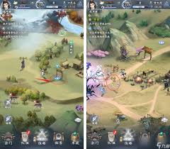 云深掌门路如何种植