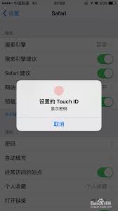 Safari密码自动填充错账户如何解决